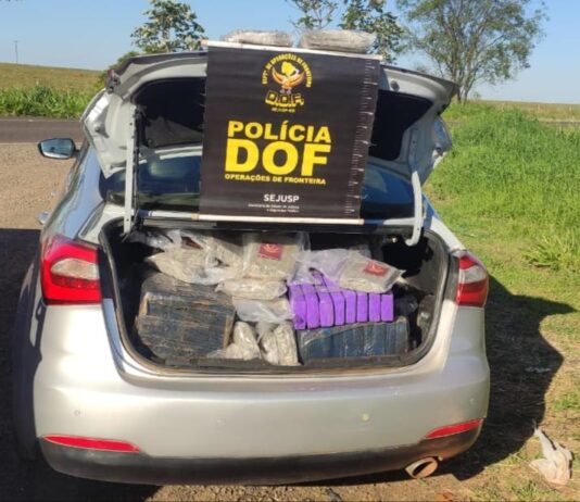 TACURU: DOF apreende maconha e skunk que eram levadas para o Estado do Espírito Santo