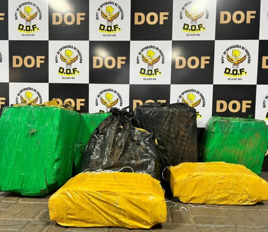 DOF destrói acampamento do tráfico e apreende mais de 320 quilos de drogas