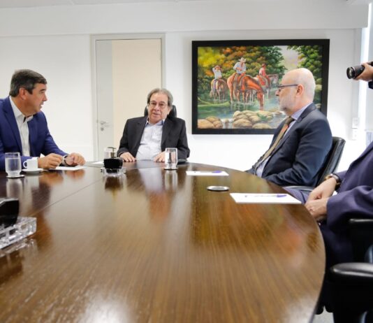O TCE é um estabilizador da democracia, afirma Riedel em visita à Corte