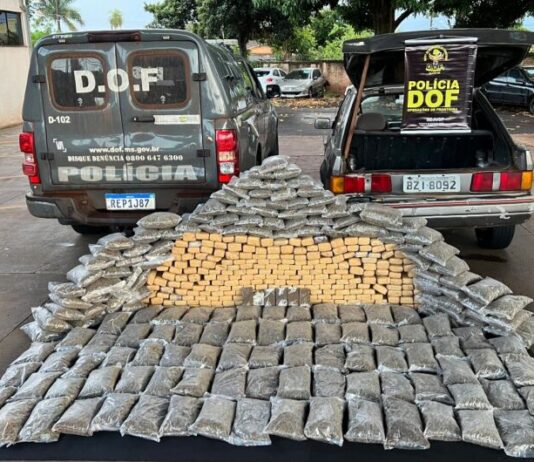Carga de drogas apreendida na BR-267 é avaliada em R$ 1,2 milhão