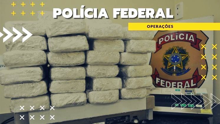 81a0dd88-9cf6-4b0d-9108-d9757f6d1d29