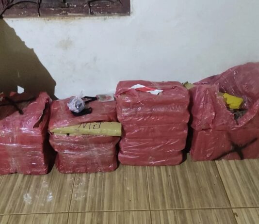 Polícia Militar apreende quase 200 kg de maconha durante atendimento de tentativa de homicídio