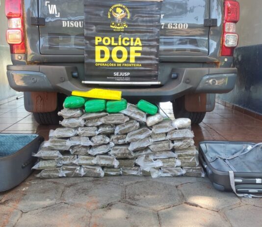 Skunk e maconha que seguiam para o Rio de Janeiro são apreendidos pelo DOF