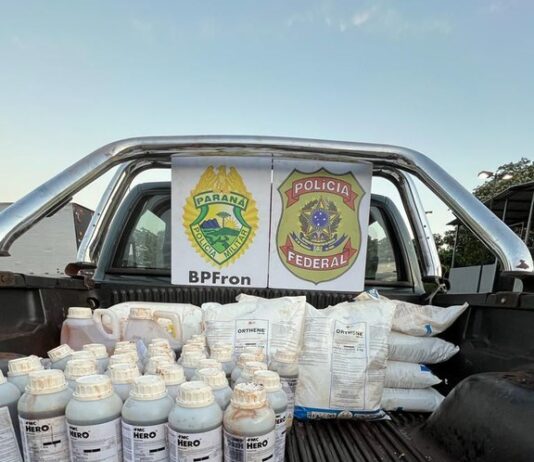 PF e BPFRON apreendem carro furtado carregado com agrotóxicos contrabandeados em Terra Roxa-PR