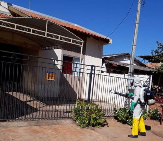 MS tem mais de 19 mil casos confirmados de dengue neste ano