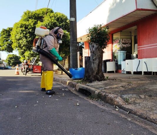 DENGUE: Saúde de Naviraí registrou 81 casos em 2022 e alerta para os cuidados básicos de prevenção