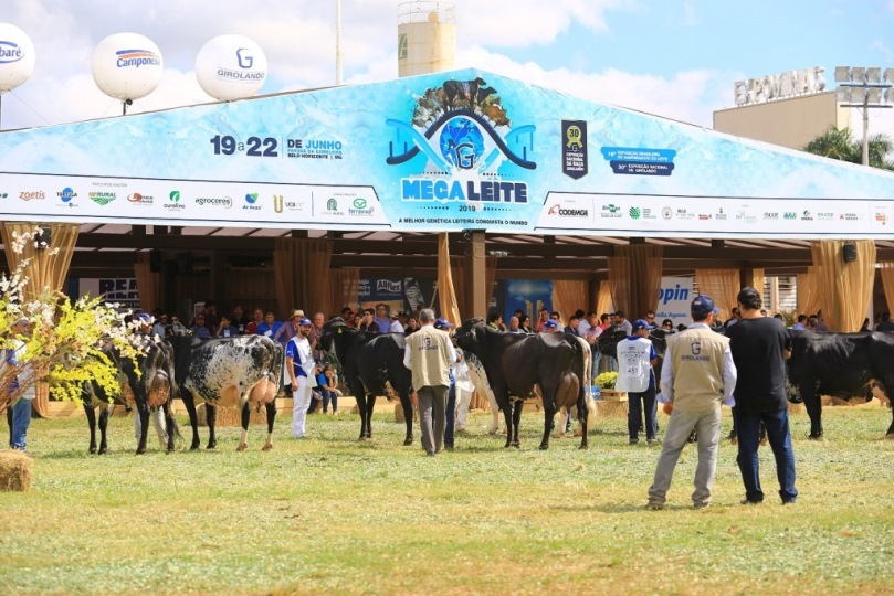Megaleite 2023 será em Belo Horizonte