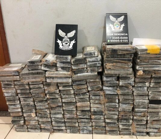 Polícia Civil apreende mais de 200 kg de cocaína em ação conjunta com a PRF