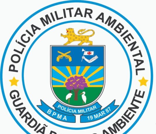 PMA autua jovem de 19 anos por maus-tratos e deixar dois cães morrerem por desnutrição