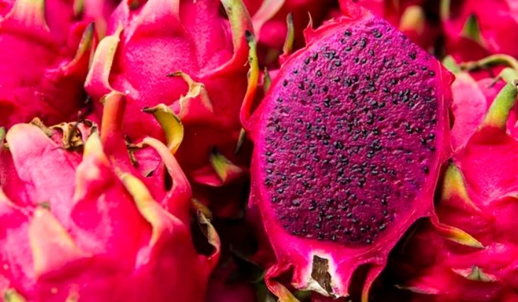 pitaya-768x425-730x425