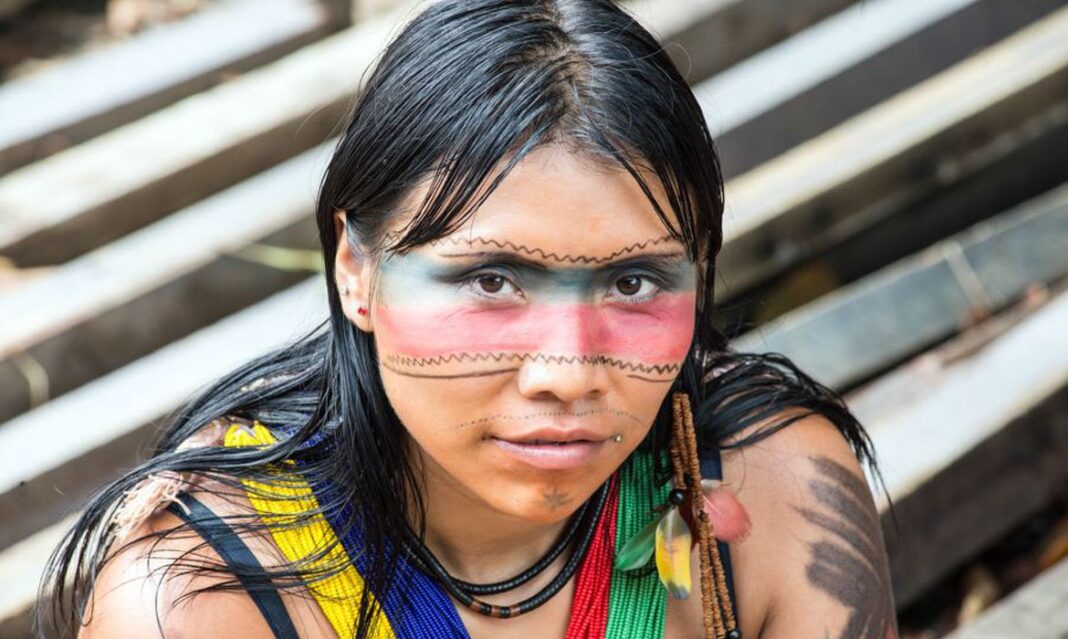 Desocupação da Terra Indígena Ajarani - Yanomami