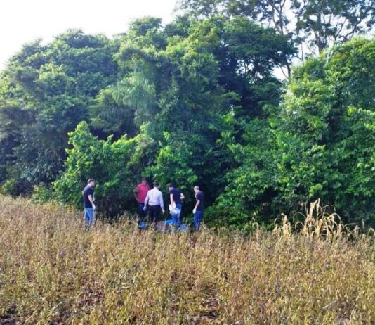 CRIME HEDIONDO: Menina de seis anos é sequestrada e morta em Douradina (MS)
