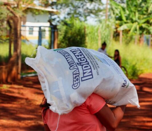 Governo de MS estuda melhorias em cestas alimentares entregues aos indígenas de MS