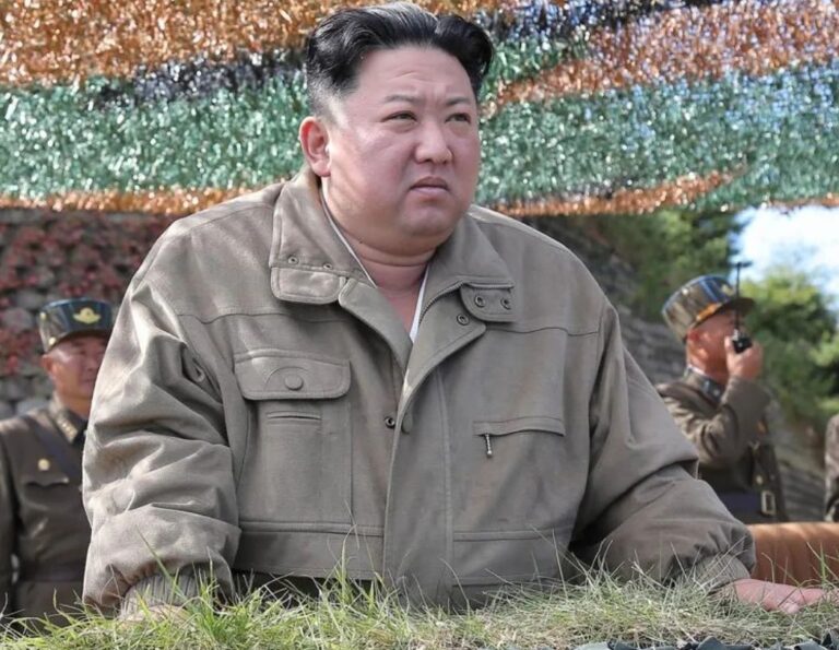 kim-768x595