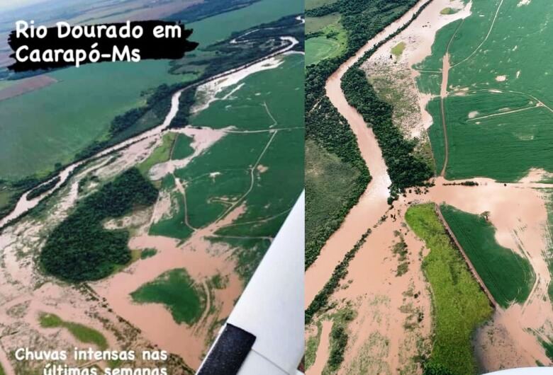 rio-ddos
