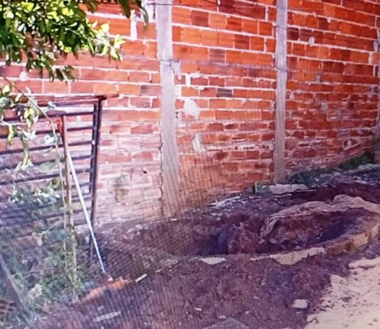 CRIME HEDIONDO: homem mata e enterra a esposa em casa e é preso após confessar crime em bar
