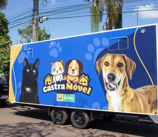 Prefeitura de Naviraí adquire castramóvel para o controle da população de cães e gatos