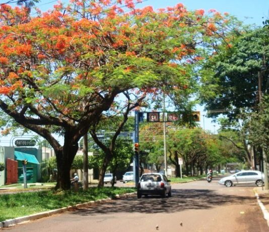 Laudir vai propor nome de José Elias Moreira para umas das principais vias de Dourados