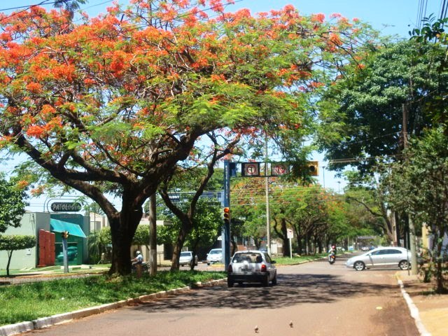 Rua Monte Alegre2