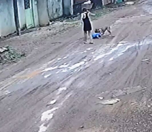 Cachorro ataca menino de três anos que passava em rua com a mãe