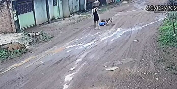 Sem título
