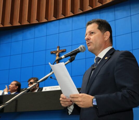 VIOLÊNCIA CONTRA A MUHER: Renato pede à ministra criação da ‘Casa da Mulher Brasileira’ em Dourados