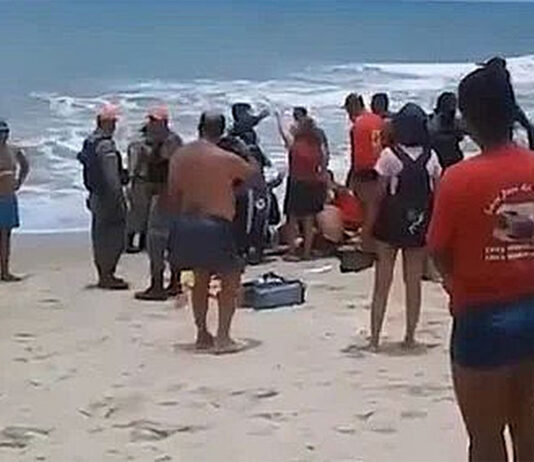 Pernambuco registra dois ataques de tubarão em 24 horas
