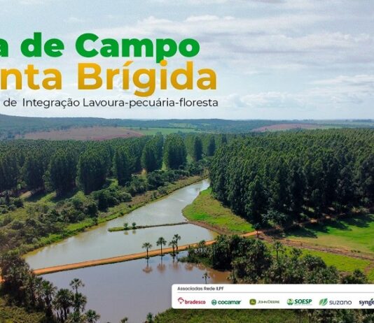 BOLETIM AGROPECUÁRIO: Dia de campo sobre ILPF em Ipameri (GO) volta a ser realizado no formato presencial