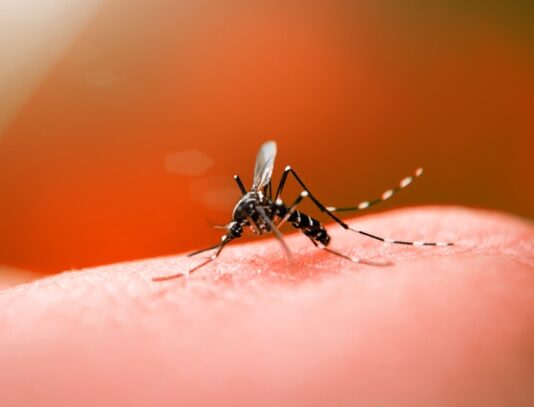 “Casos de dengue aumentam em Caarapó”, afirma boletim epidemiológico