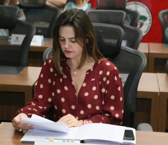 Mara Caseiro pede utilização de tornolezeira eletrônica em acusados de violência doméstica