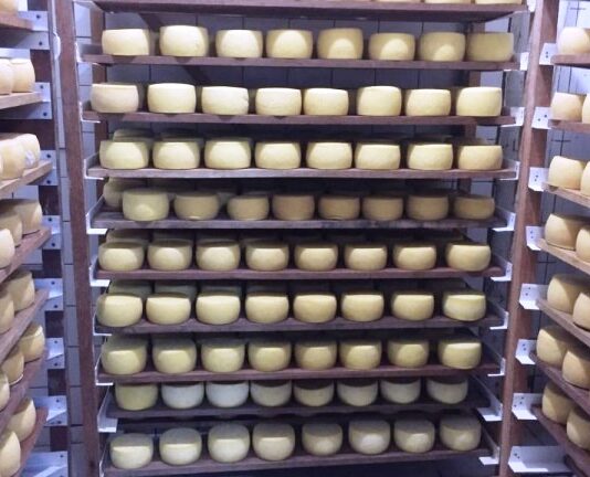 CAMPO GRANDE: Prefeitura anuncia data da “Festa do Queijo em Rochedinho”