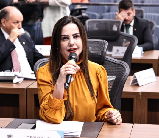 Deputada solicita construção de quadra de futebol para aldeia em Coronel Sapucaia