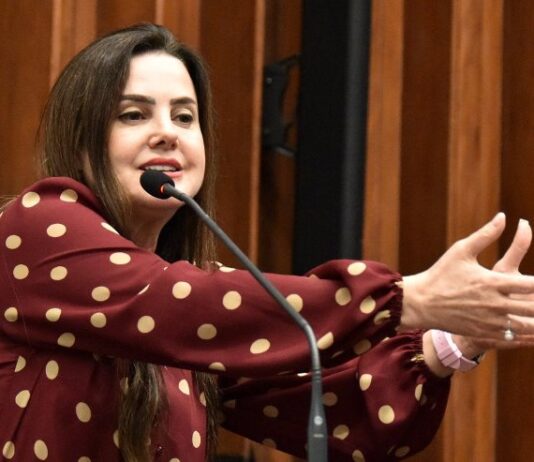 Deputada repudia administração da CCR MSVia na concessão da BR-163