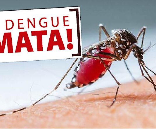 NAVIRAÍ E AQUIDAUANA: dengue mata mais duas pessoas em MS. Estado chega a 20 mil casos