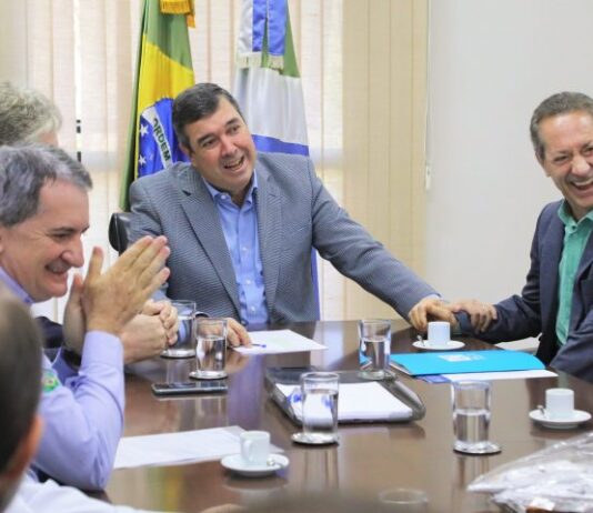 DESENVOLVIMENTO: setor de Suinocultura vai investir quase R$ 1 bilhão no Estado