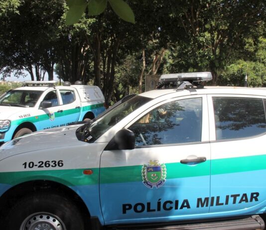 Nova Andradina: Dono de sítio é multado em R$ 30 mil por derrubada de árvores de grande porte