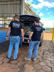 Policia-Civil-incinera-mais-de-meia-tonelada-de-entorpecentes-em.jpegnocache1