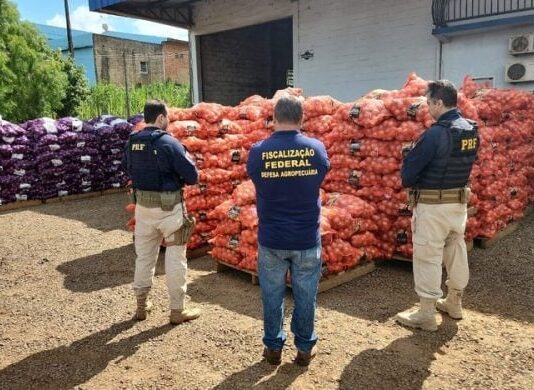 Governo apreende mais de 480 toneladas de produtos agrícolas