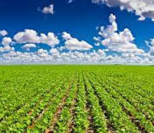Fávaro e Teixeira defendem reforma agrária, mas criticam invasões do MST
