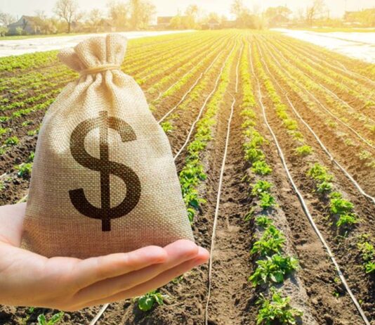 Agricultura familiar: governo garante desconto de 25% em financiamentos de crédito rural