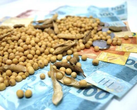 Soja: preços ficam de estáveis a baixos com quedas de Chicago e dólar