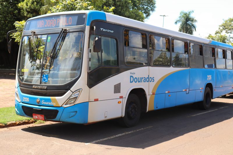 ONIBUS-DOURADOS-2-800x533