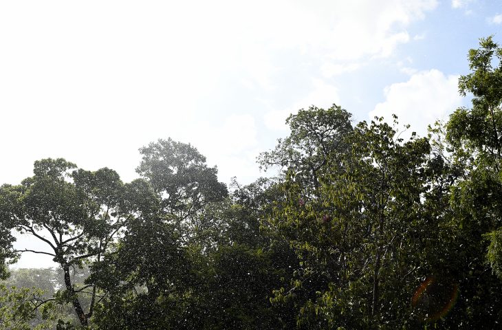 Tempo-Fto-Bruno-Rezende-02-730x480