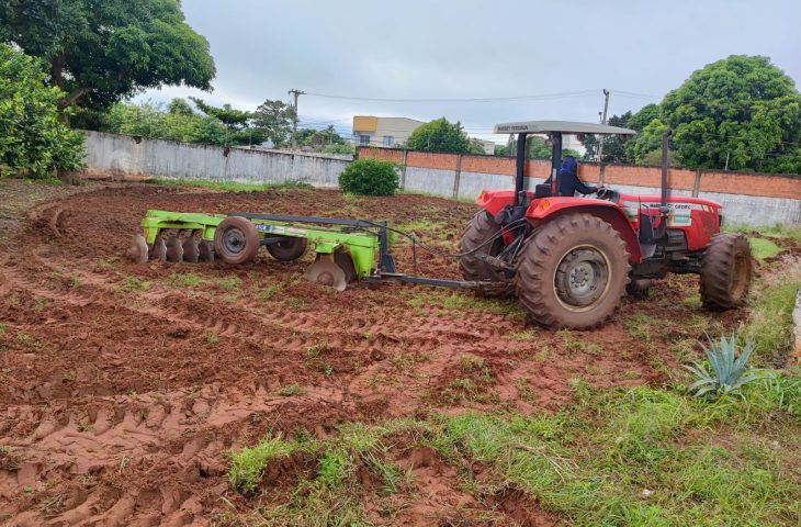 horta1-730x480