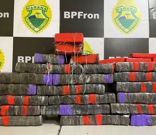 BPFRON e PF realizam ação na operação Hórus e apreendem grande quantidade de droga