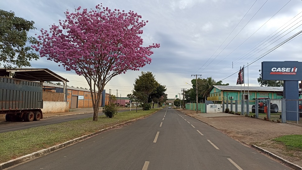 Foto - Roney Minella - Avenida Amambai em Naviraí