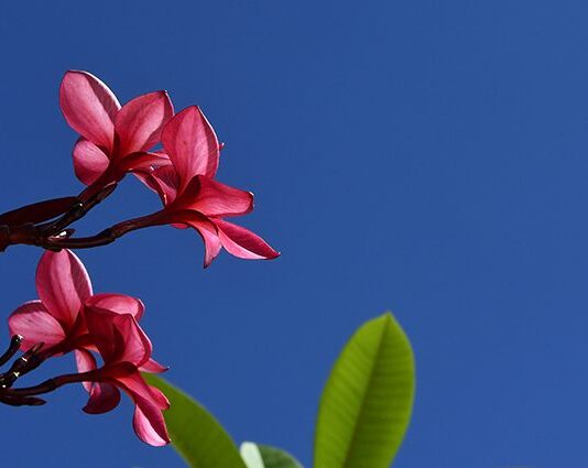 Terça-feira de tempo estável, com sol e baixa umidade do ar