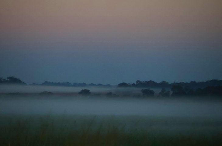 Tempo-frio-neblina-Foto-Alvaro-Rezende1-730x480