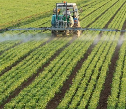 Ministério da Agricultura registra mais 30 defensivos agrícolas