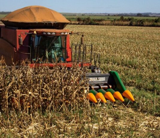 AGRONEGÓCIO: MS gerou 3 mil empregos em junho e tem estoque de trabalho recorde